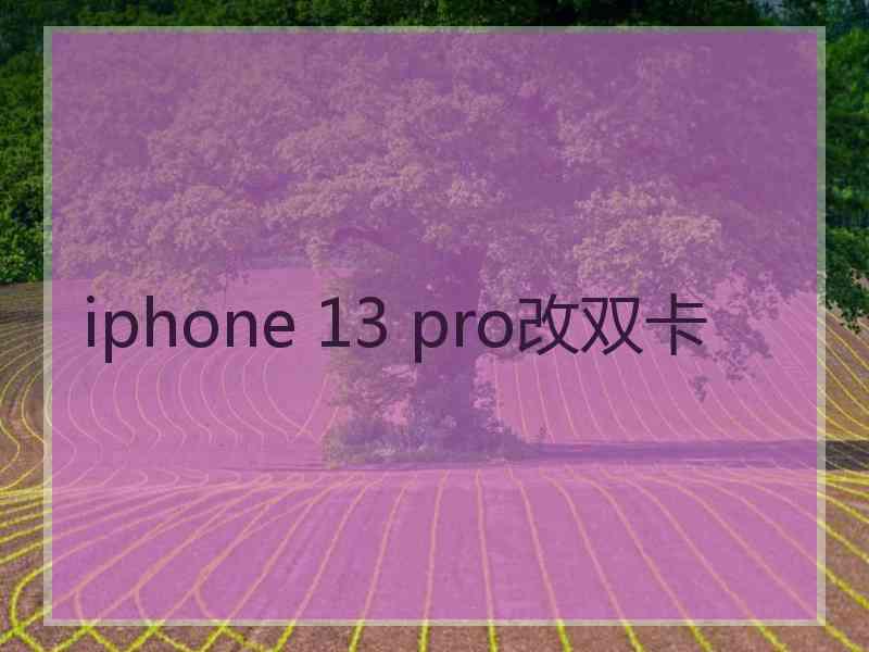 iphone 13 pro改双卡