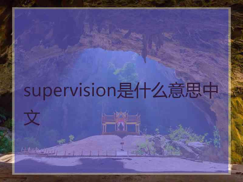 supervision是什么意思中文