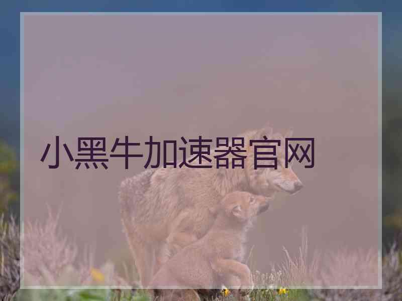 小黑牛加速器官网