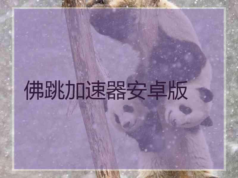 佛跳加速器安卓版