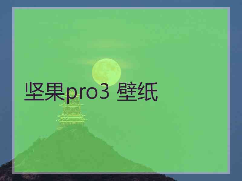 坚果pro3 壁纸