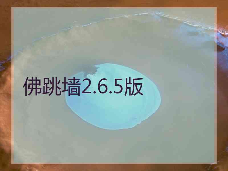 佛跳墙2.6.5版