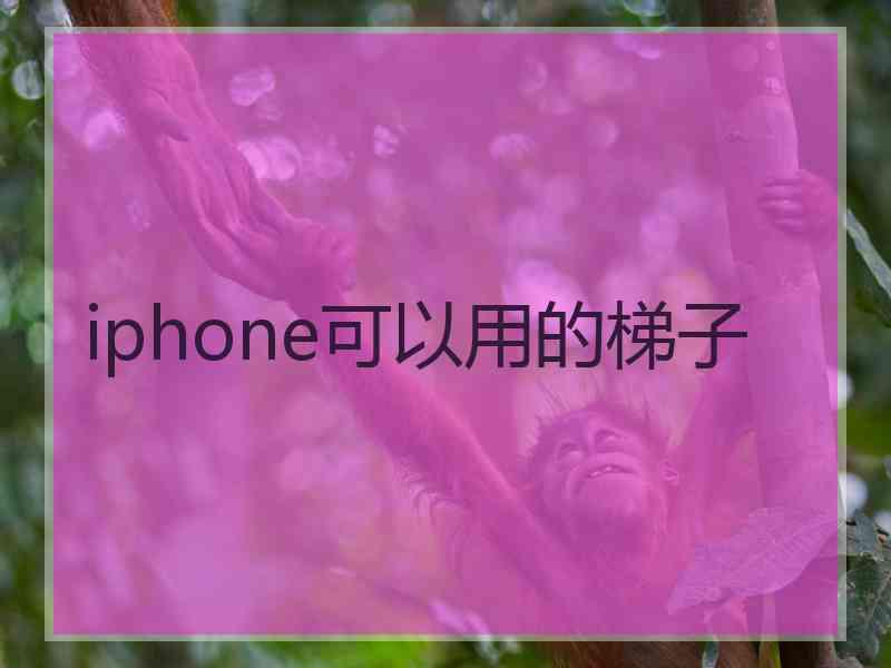 iphone可以用的梯子