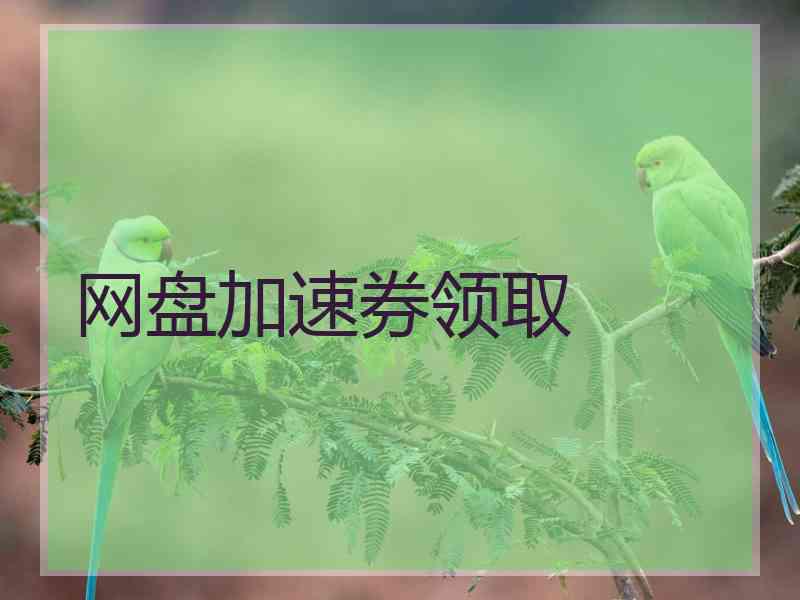网盘加速券领取