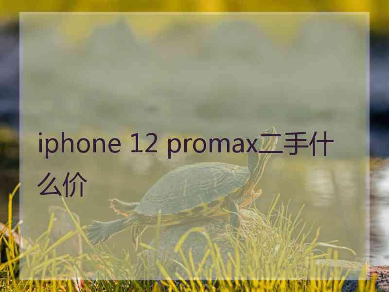 iphone 12 promax二手什么价