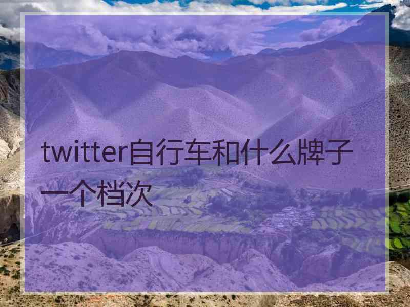 twitter自行车和什么牌子一个档次