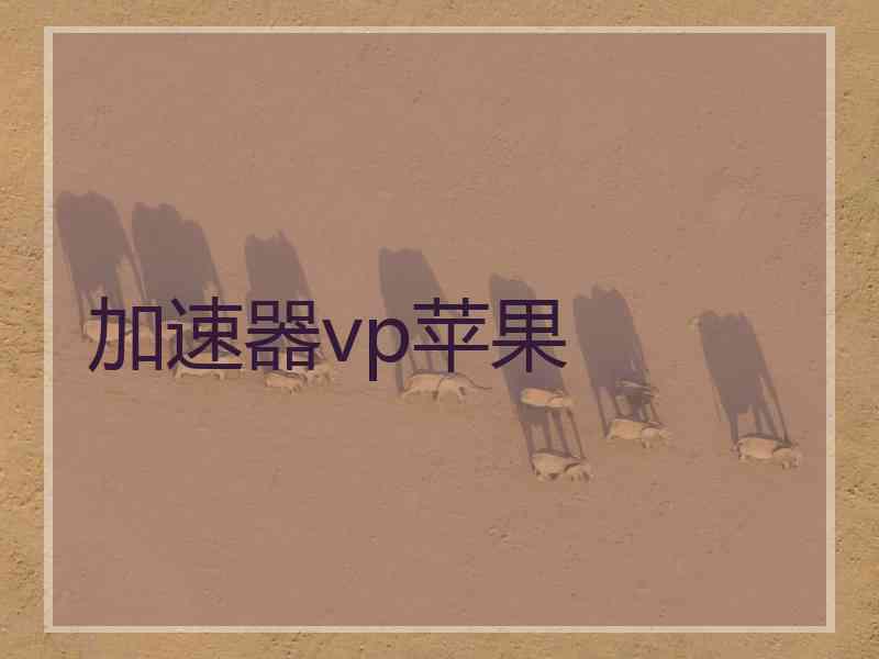 加速器vp苹果