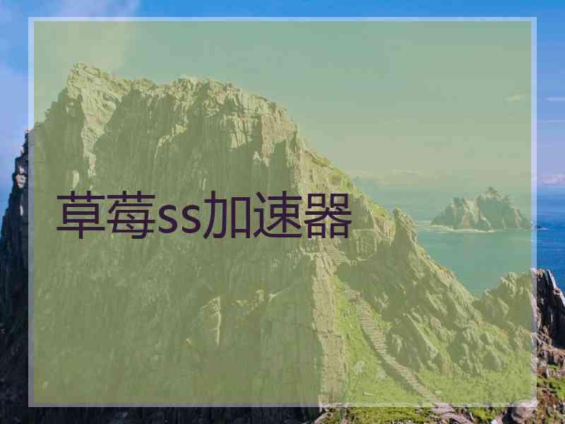 草莓ss加速器
