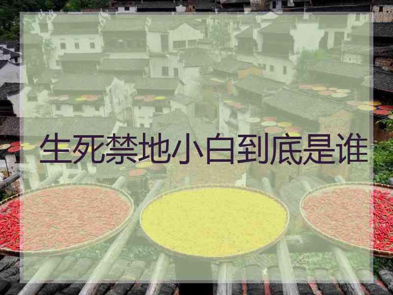 生死禁地小白到底是谁