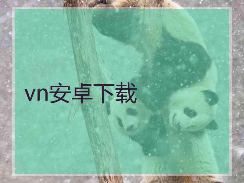 vn安卓下载