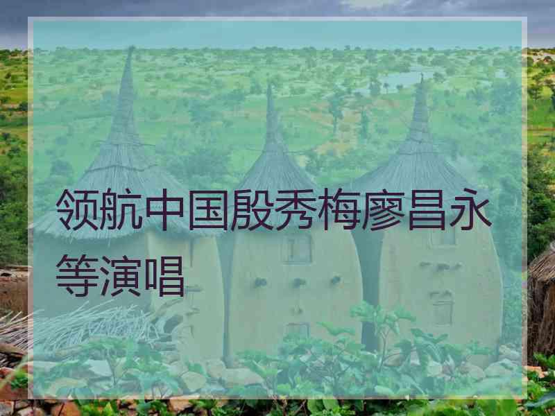 领航中国殷秀梅廖昌永等演唱