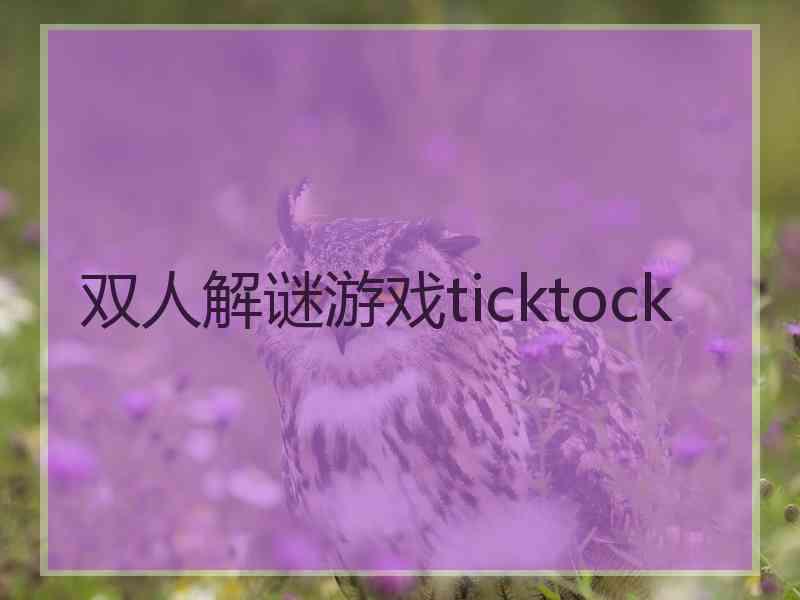 双人解谜游戏ticktock