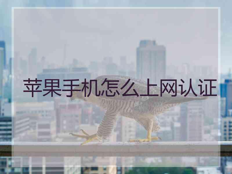 苹果手机怎么上网认证
