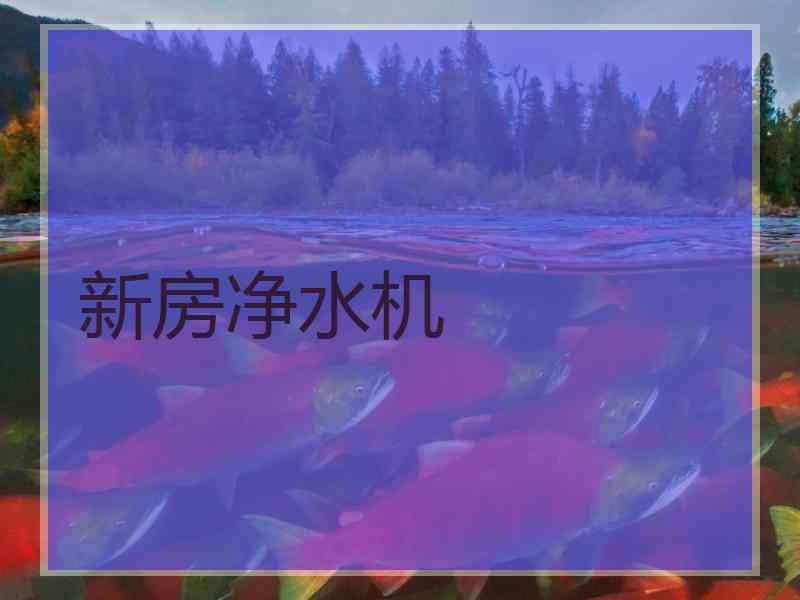 新房净水机