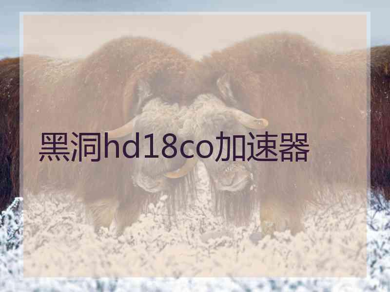 黑洞hd18co加速器