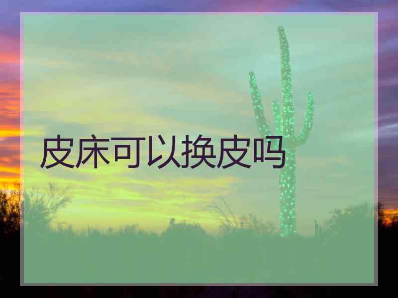 皮床可以换皮吗