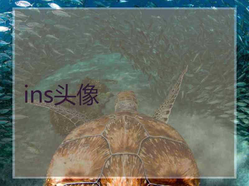 ins头像