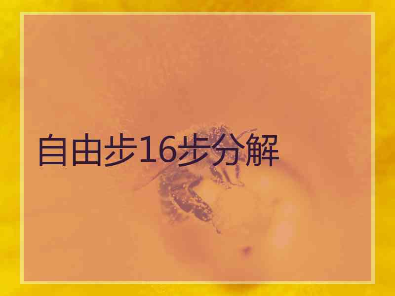 自由步16步分解