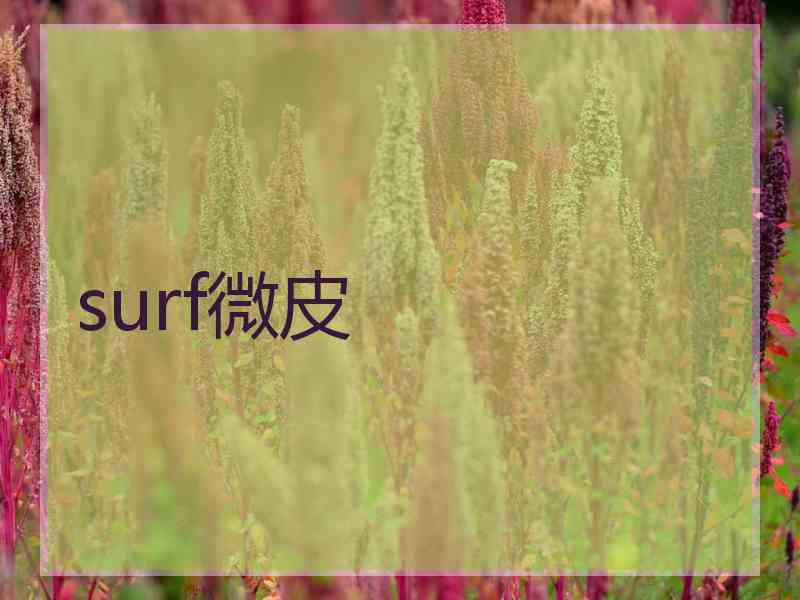 surf微皮