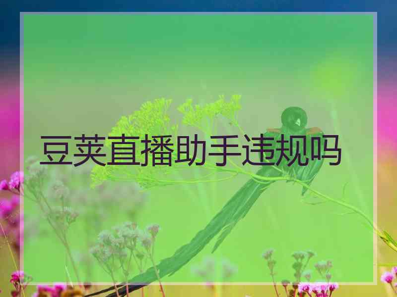 豆荚直播助手违规吗