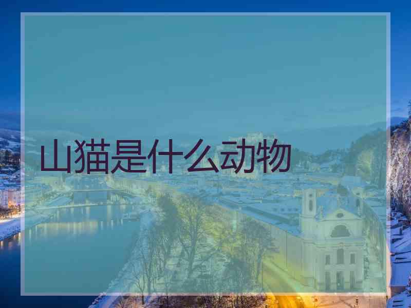 山猫是什么动物
