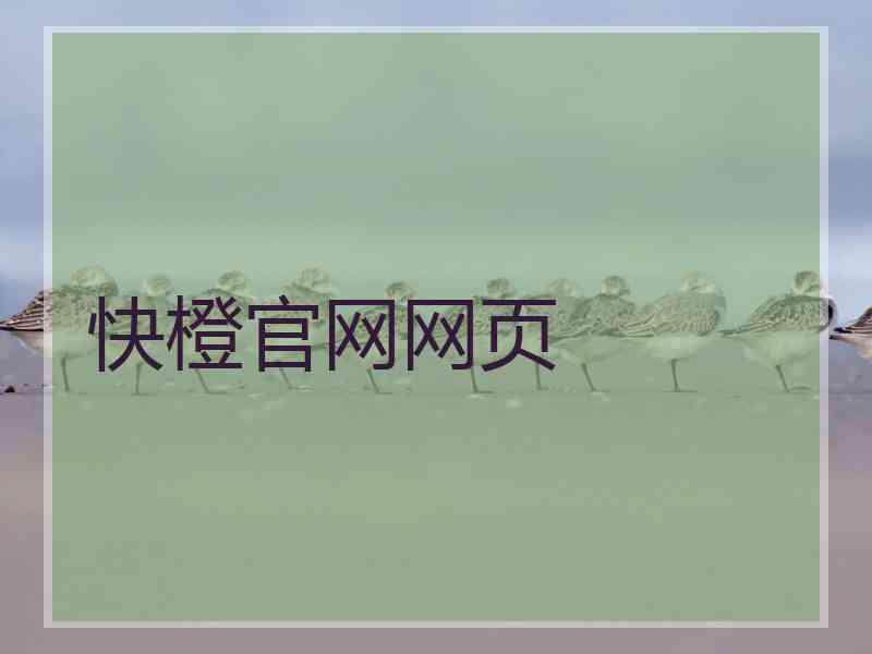 快橙官网网页