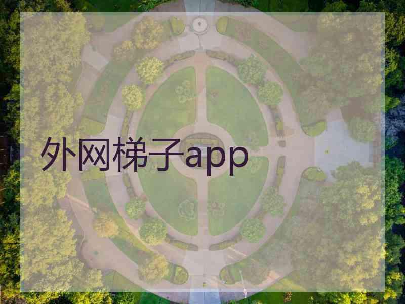 外网梯子app