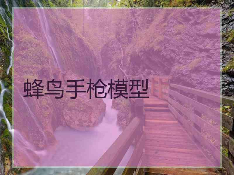 蜂鸟手枪模型