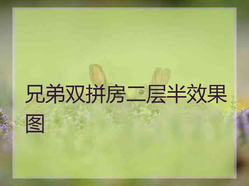 兄弟双拼房二层半效果图