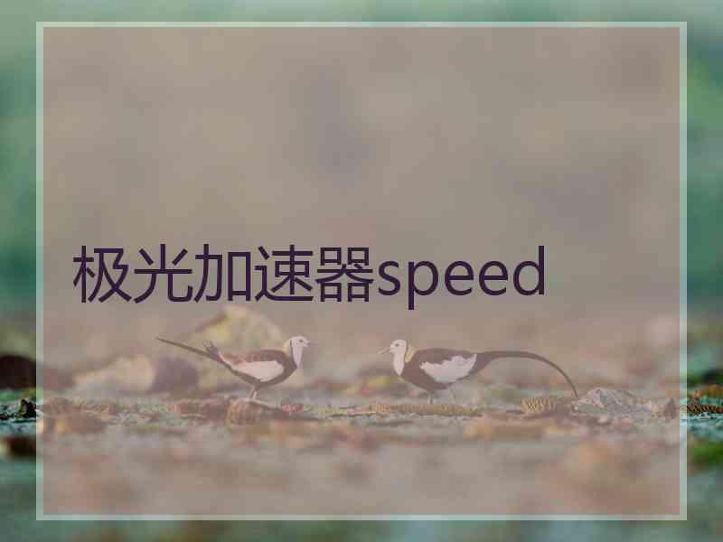 极光加速器speed