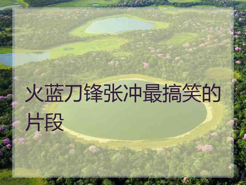 火蓝刀锋张冲最搞笑的片段
