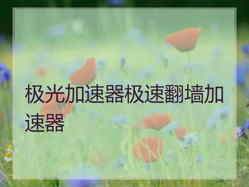 极光加速器极速翻墙加速器