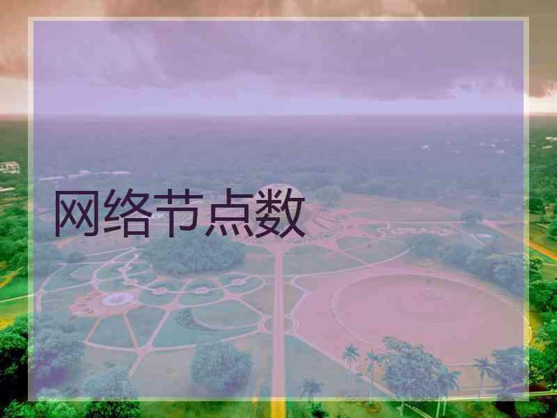 网络节点数