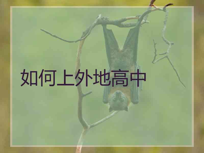 如何上外地高中