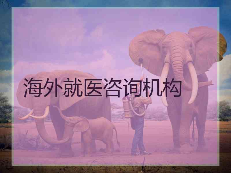 海外就医咨询机构