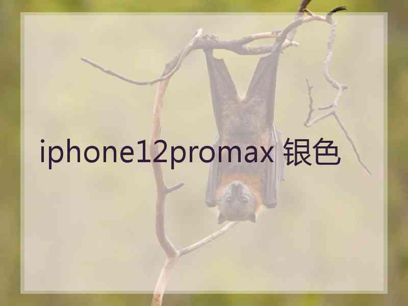 iphone12promax 银色