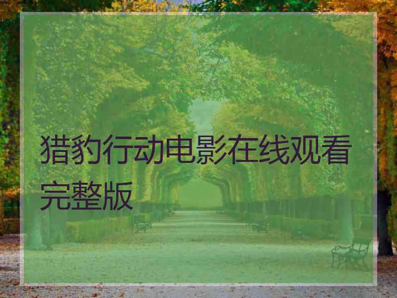 猎豹行动电影在线观看完整版