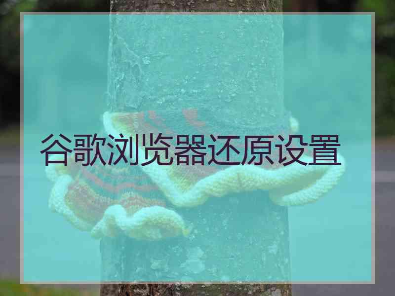 谷歌浏览器还原设置