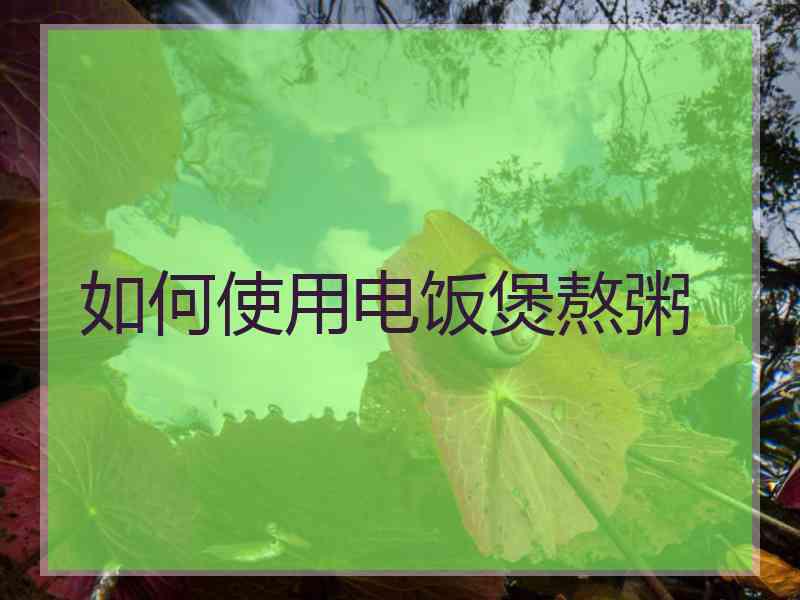 如何使用电饭煲熬粥