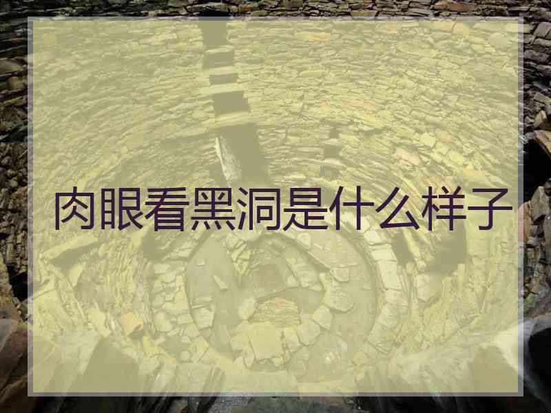 肉眼看黑洞是什么样子