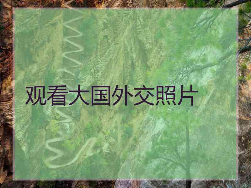 观看大国外交照片
