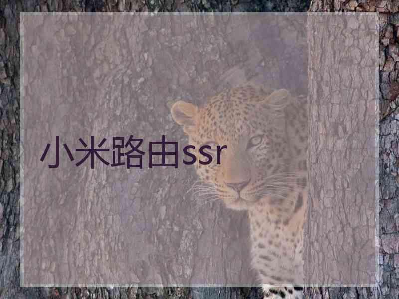 小米路由ssr