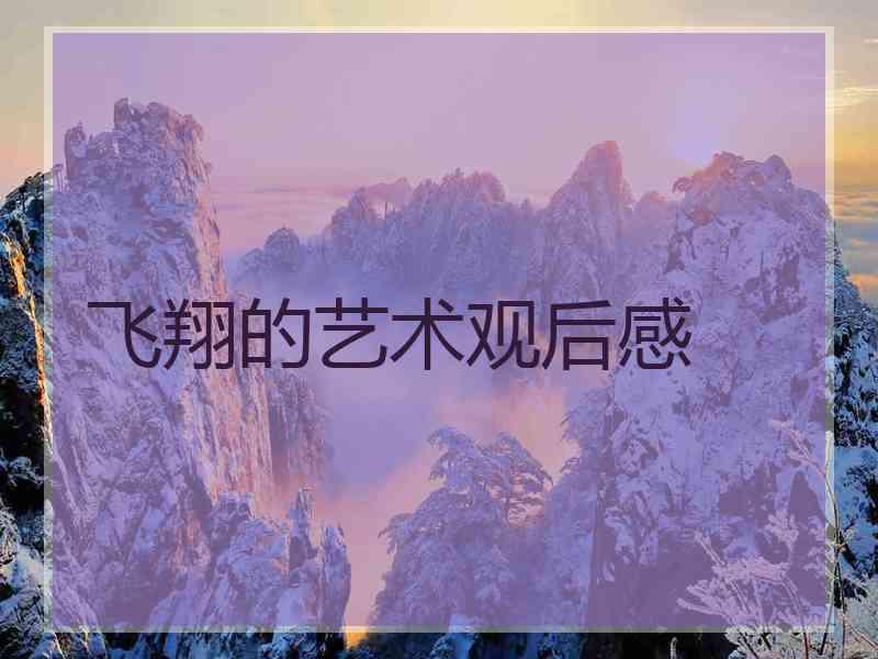 飞翔的艺术观后感