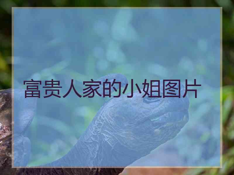 富贵人家的小姐图片