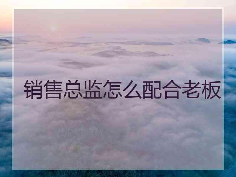 销售总监怎么配合老板