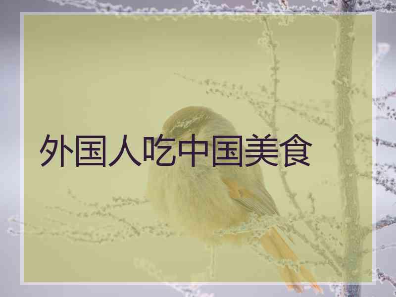 外国人吃中国美食