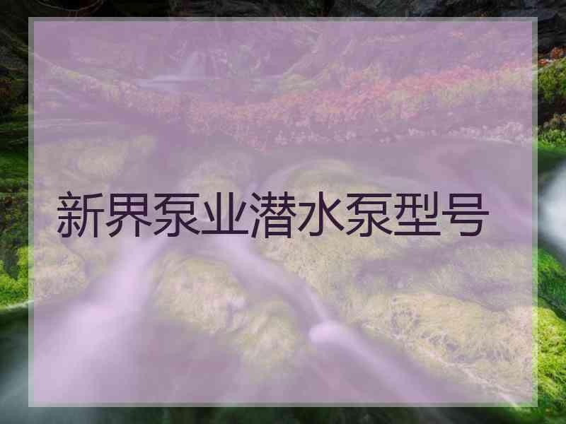 新界泵业潜水泵型号