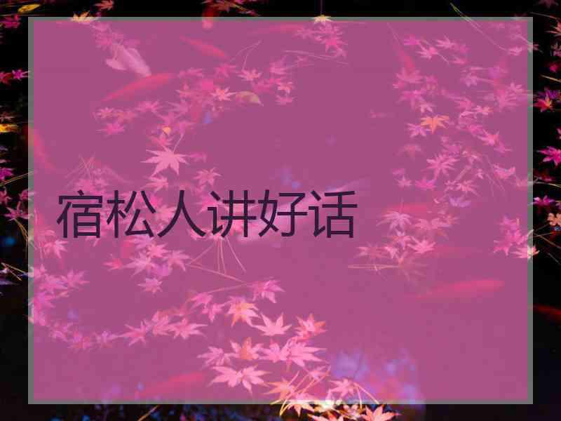 宿松人讲好话
