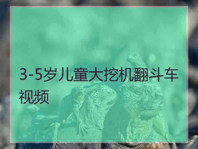 3-5岁儿童大挖机翻斗车视频