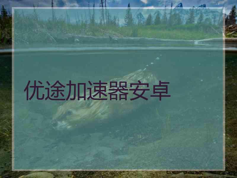 优途加速器安卓